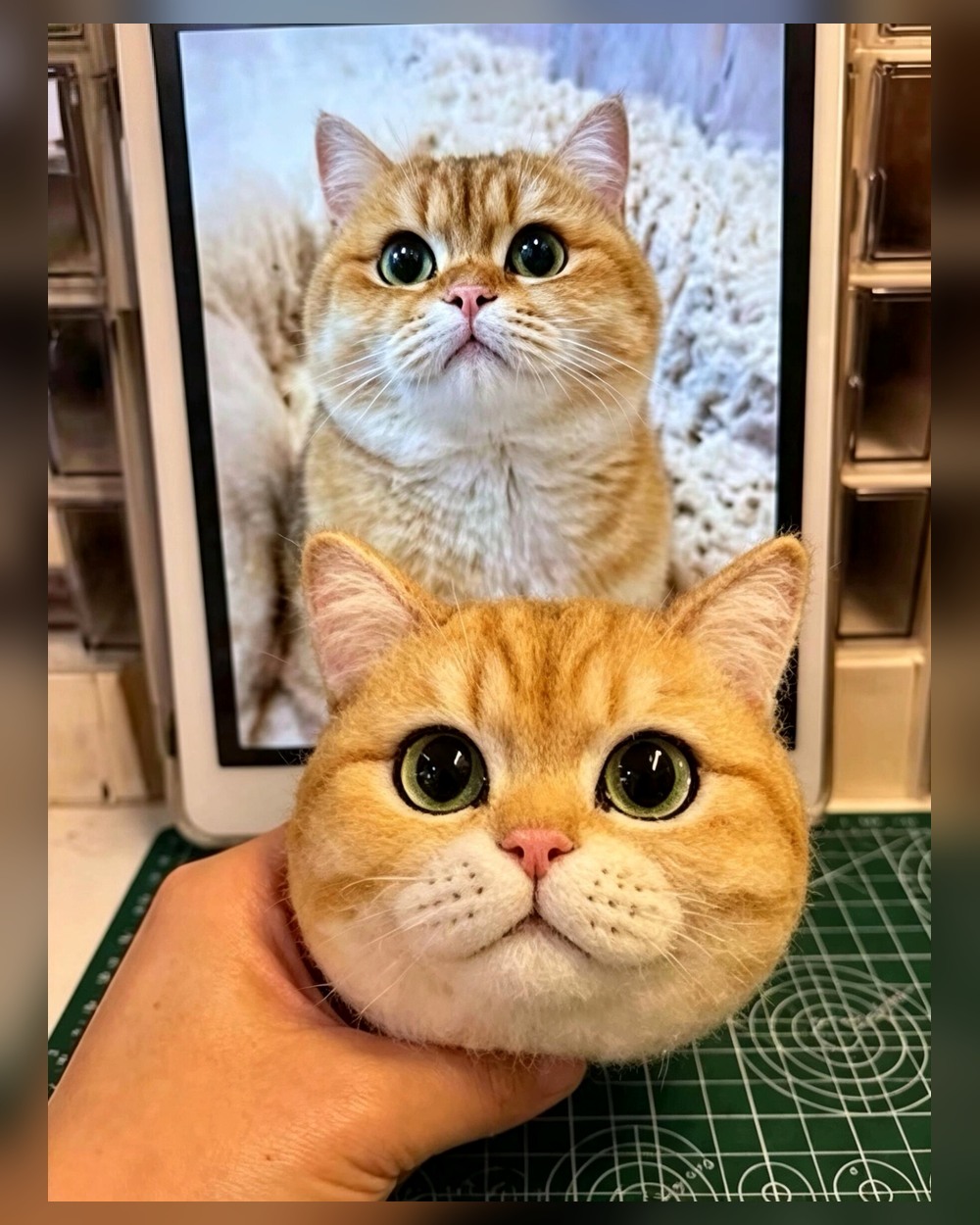 Real photo-to-felt portrait comparison