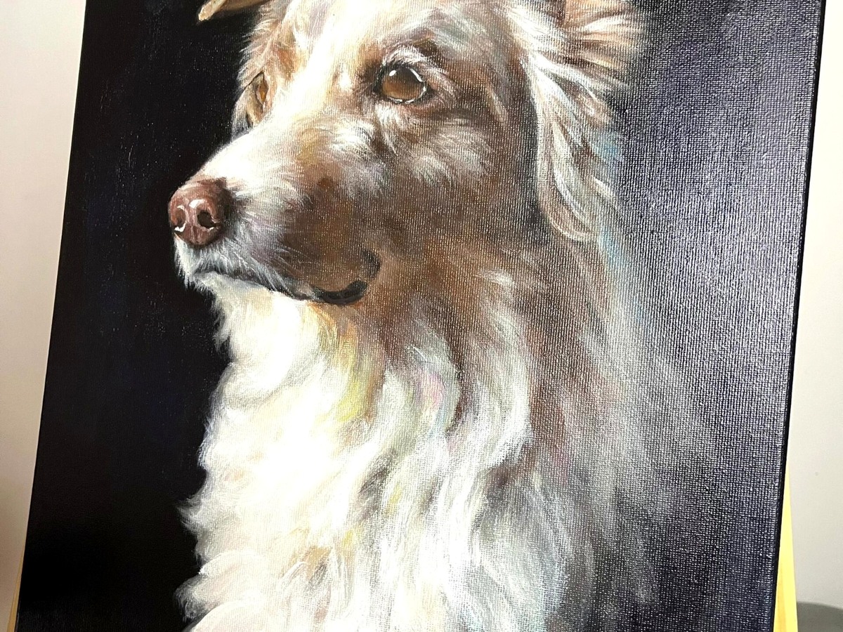 Real pet oil painting